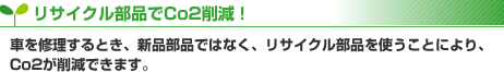 �ꥵ���������ʤ�Co2�︺��